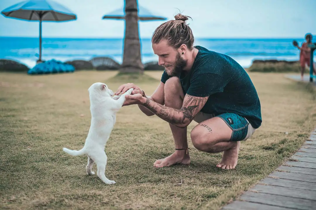 Surfer Playing With Puppy At A Beach Bar 